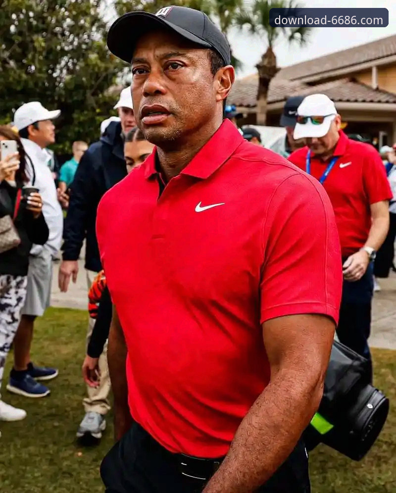 苹果安装包 解析老虎伍兹药物驾驶事件的3个关键细节——从6686官方平台看传奇球星的危机时刻